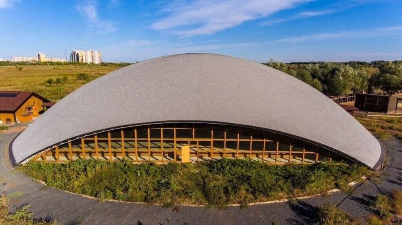 Шинглас Ранчо "Драконий зуб" - защита с блеском от ТЕХНОНИКОЛЬ