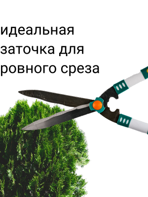 Копия Копия ненужное (8)